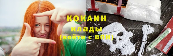 шишки Елизово