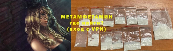 шишки Елизово