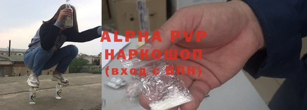 шишки Елизово
