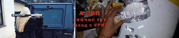 шишки Елизово