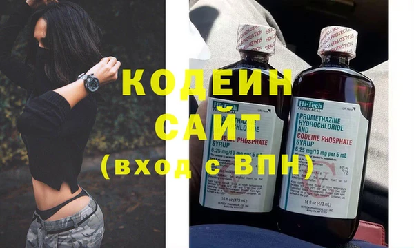 шишки Елизово