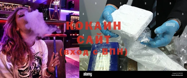 шишки Елизово