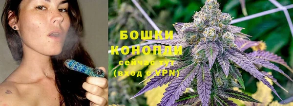 шишки Елизово
