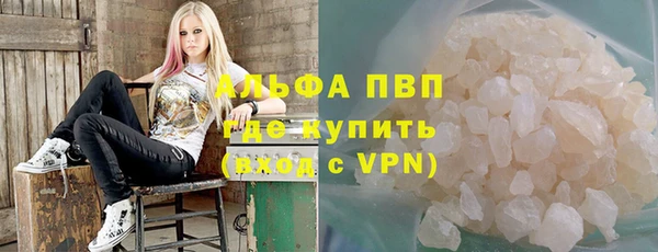 шишки Елизово